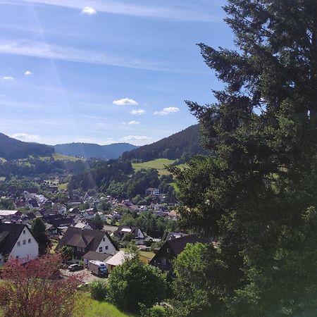 Traumblick Fewo Mit Pool Baiersbronn Bagian luar foto