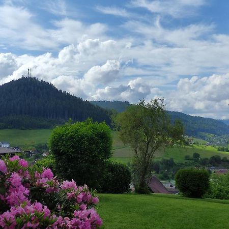 Traumblick Fewo Mit Pool Baiersbronn Bagian luar foto