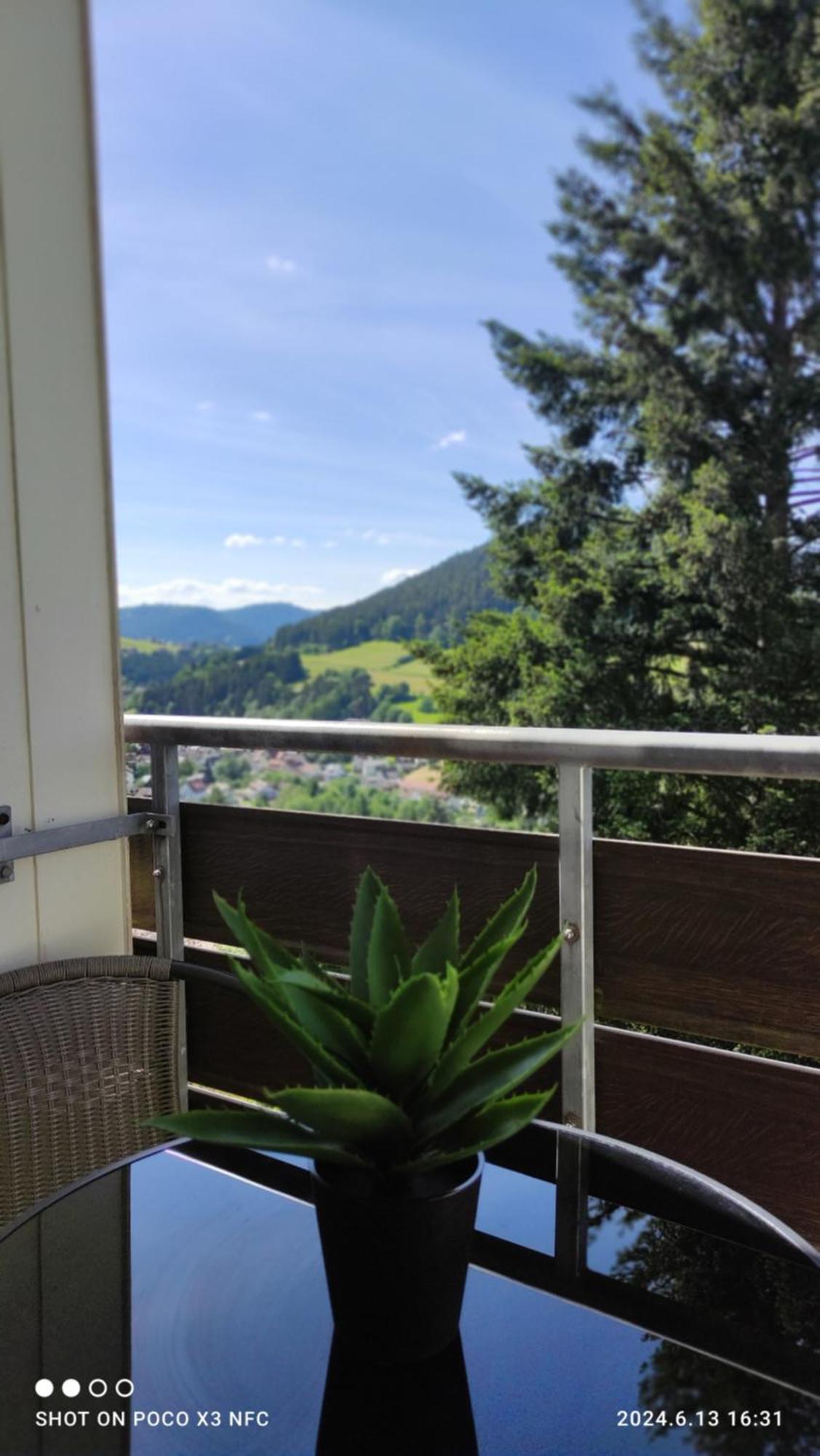 Traumblick Fewo Mit Pool Baiersbronn Bagian luar foto