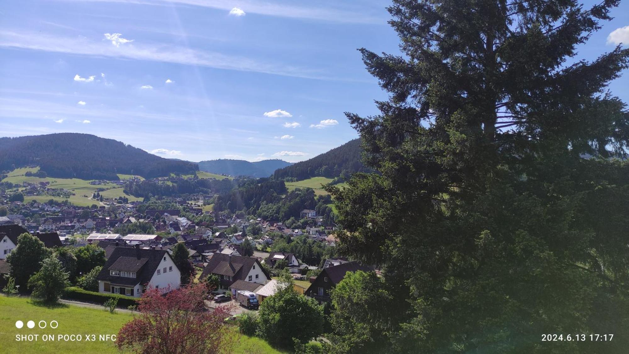 Traumblick Fewo Mit Pool Baiersbronn Bagian luar foto